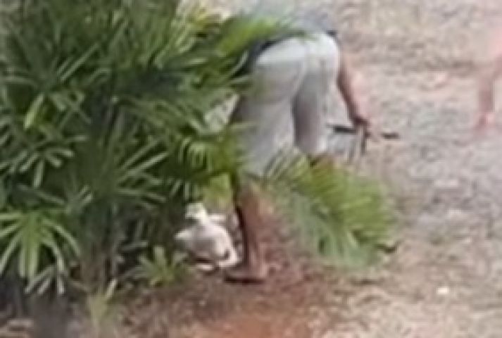 (VÍDEO) Homem é preso após matar dois cães a golpes de machado em Timbó