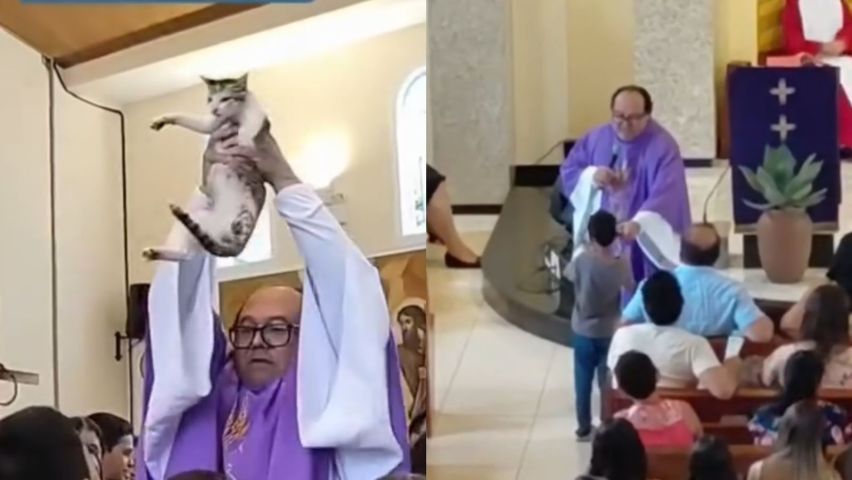(VÍDEO) Gato invade altar e é abençoado durante missa de Quarta-Feira de Cinzas no Ceará