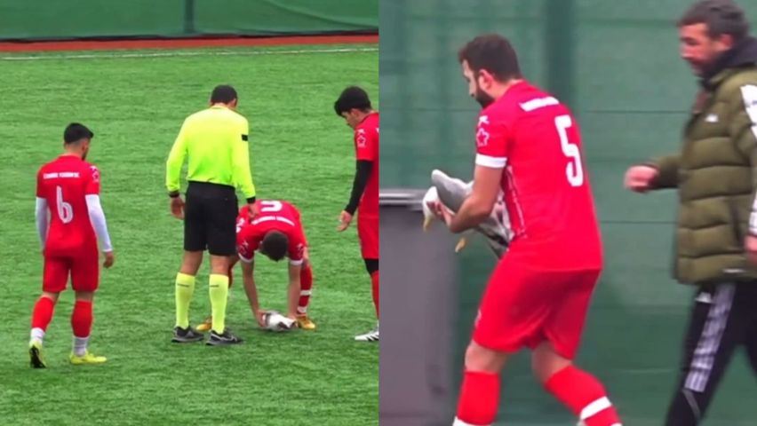 (VÍDEO) Gaivota leva bolada em jogo na Turquia e é reanimada por jogador
