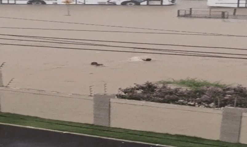 Mulher está desaparecida após ser arrastada em enxurrada na Bahia