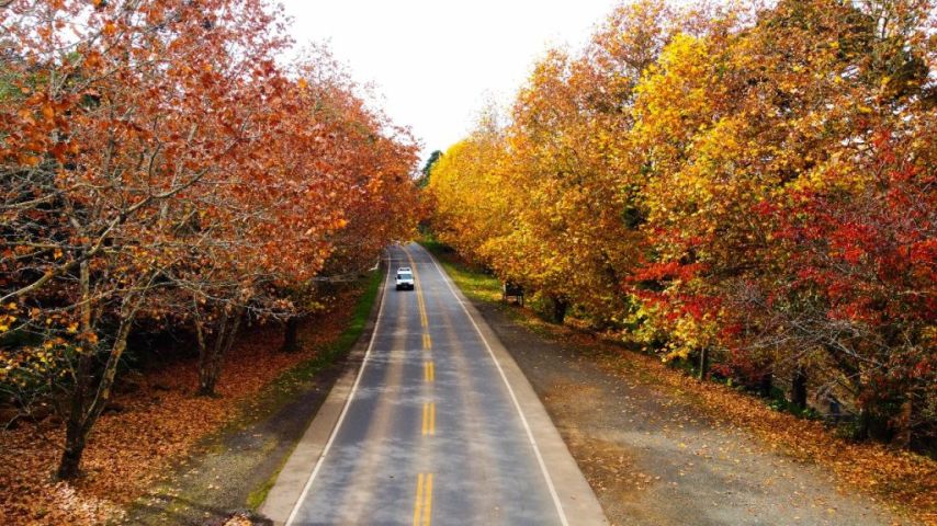 Outono terá temperaturas e chuvas acima da média no Sul do Brasil