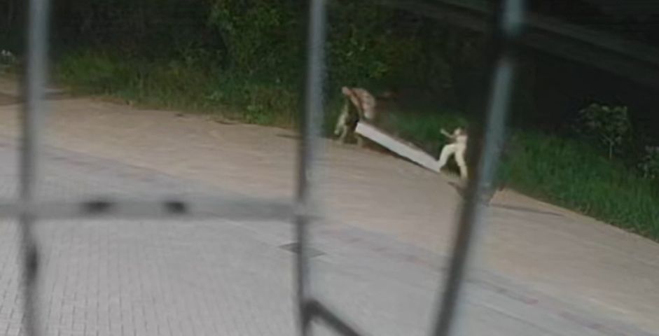 Câmeras de segurança flagram um homem com uma criança descartando um colchão em terreno baldio, em Tubarão