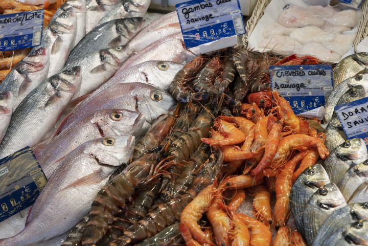 Semana Santa: Procon realiza levantamento de preços do pescado
