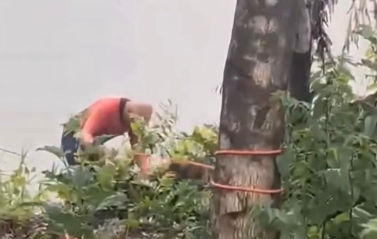 (Vídeo) Urgente: Corpo é encontrado no Rio Tubarão