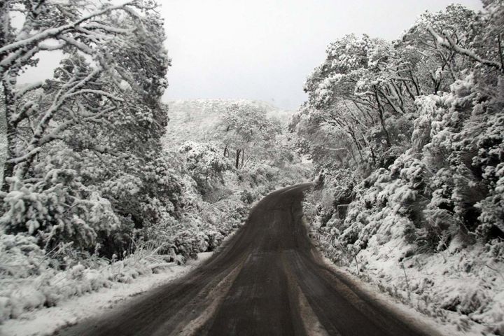 Estrada estratégica entre SC e RS avança e pode impulsionar turismo na Serra