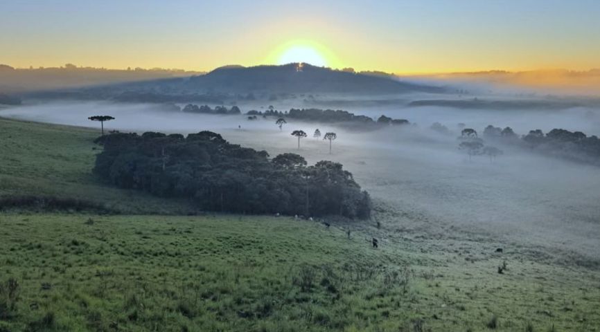 Massa de ar frio traz mínimas de 0°C nos próximos dias; veja onde