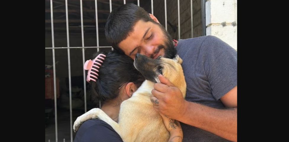 Cão reencontra tutores em mutirão de castração após 4 meses desaparecido em SC: 'Já tinha perdido as esperanças'