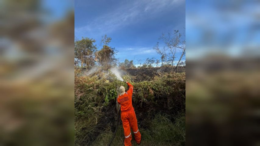 Incêndio em vegetação ameaça área próxima a residências em Jaguaruna