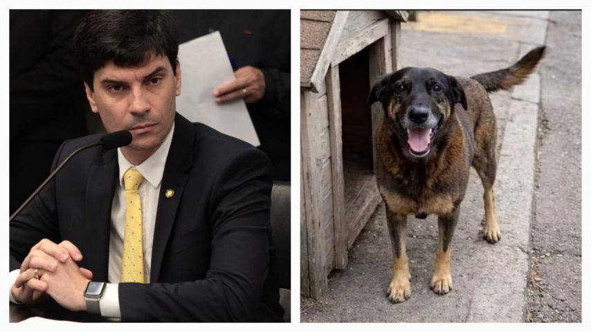 Cão Orelha: MP entra com ação de improbidade contra ex-delegado-geral da Polícia Civil de SC