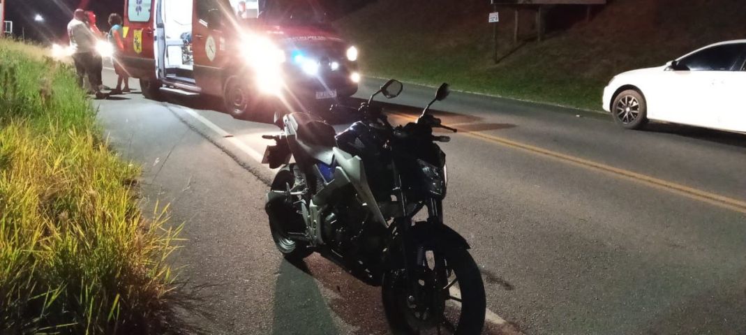 Cavalo solto em pista provoca acidente em Jaguaruna