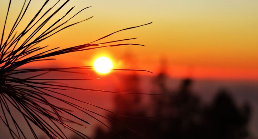 Fim de semana será de sol e tempo firme após frente fria em SC; confira previsão do tempo