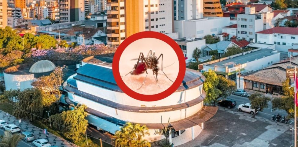 Focos do mosquito da dengue disparam em Tubarão e já superam mesmo período de 2025