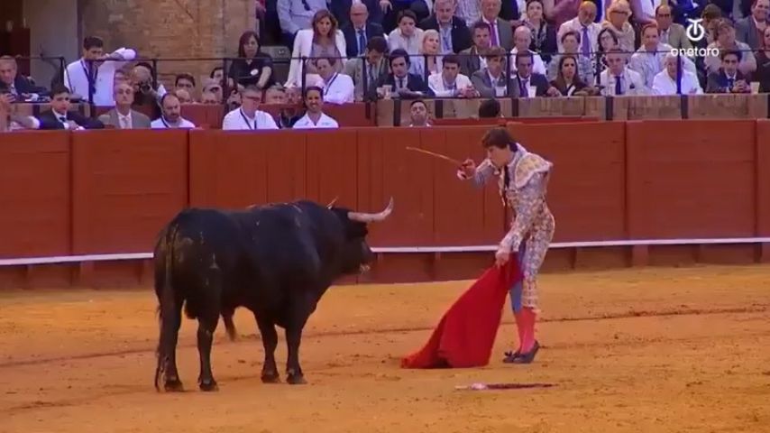 VÍDEO: Toureiro peruano fica gravemente ferido após ser golpeado por touro