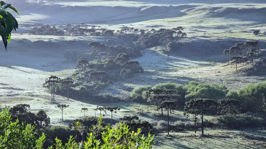 Temperaturas voltam a cair neste domingo (03) em Santa Catarina