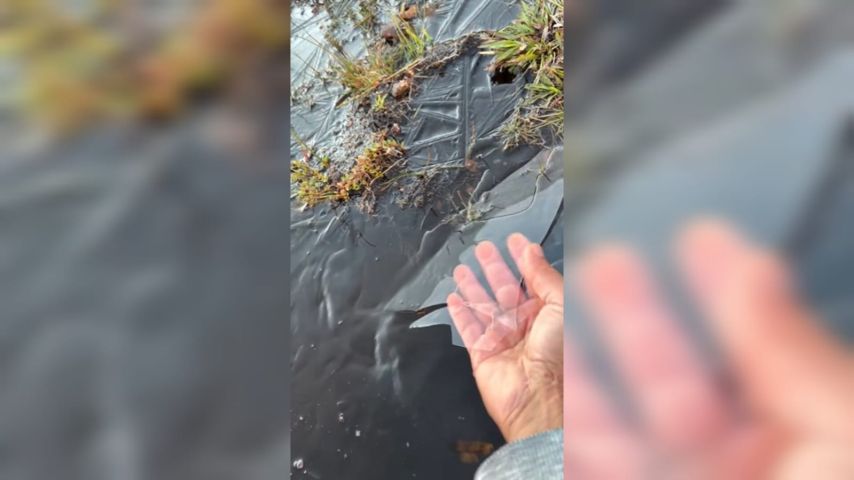 Serra Catarinense amanhece abaixo de 0ºC e com lago congelado