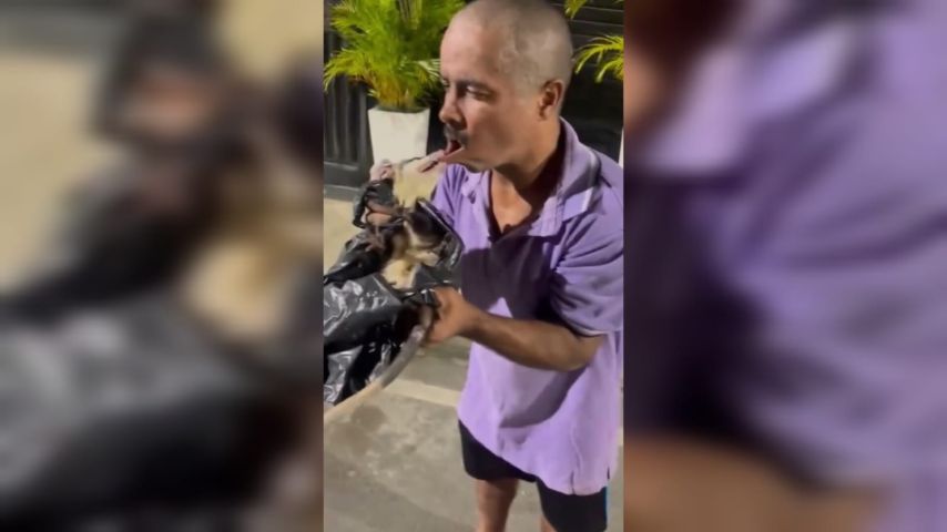VÍDEO: Homem tenta colocar gambá na boca e é mordido pelo animal