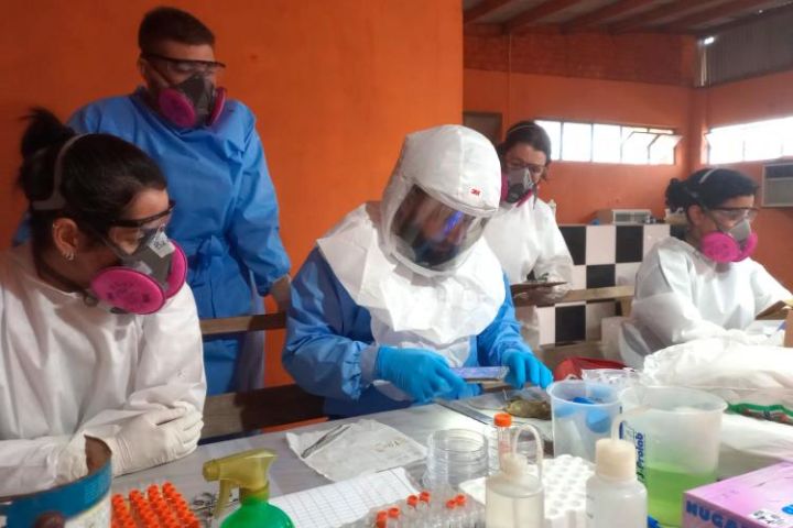 Paraná confirma dois casos de hantavirose, mas Secretaria diz que situação está sob controle