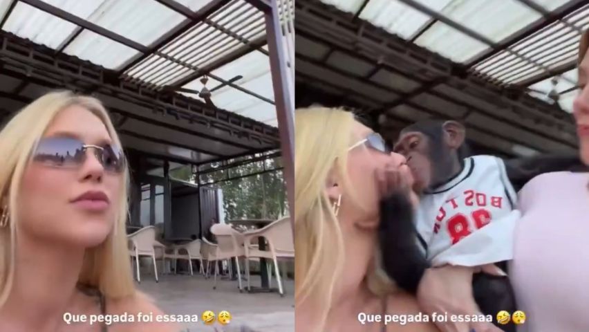 Virginia é acusada de racismo após beijo em macaco e internautas relacionam episódio a Vini Jr.