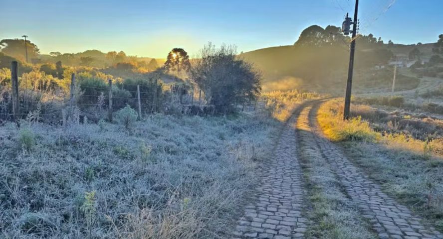  Frio volta com força e SC registra amanhecer de -4,2°C