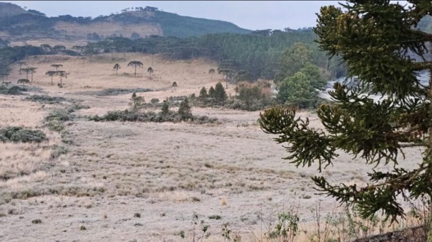 SC abaixo de 0°C: 18 cidades tem temperaturas negativas e sensação de frio chega a -15°C