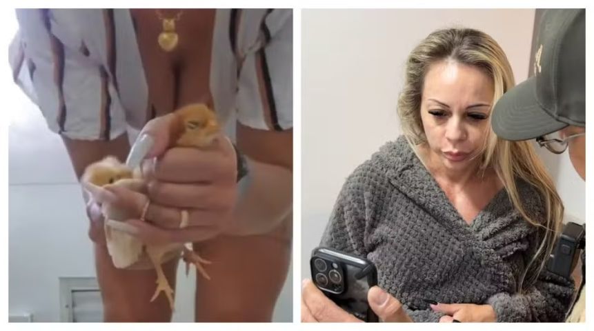 Empresária é presa em SP suspeita de torturar e matar animais para vender vídeos na Europa
