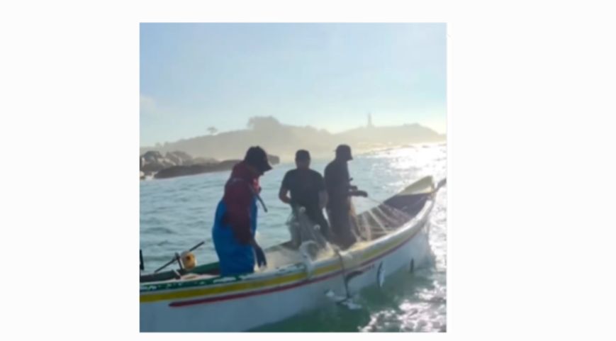 (Vídeo) João Baiuka registra pesca abundante de anchoveta no litoral de Laguna