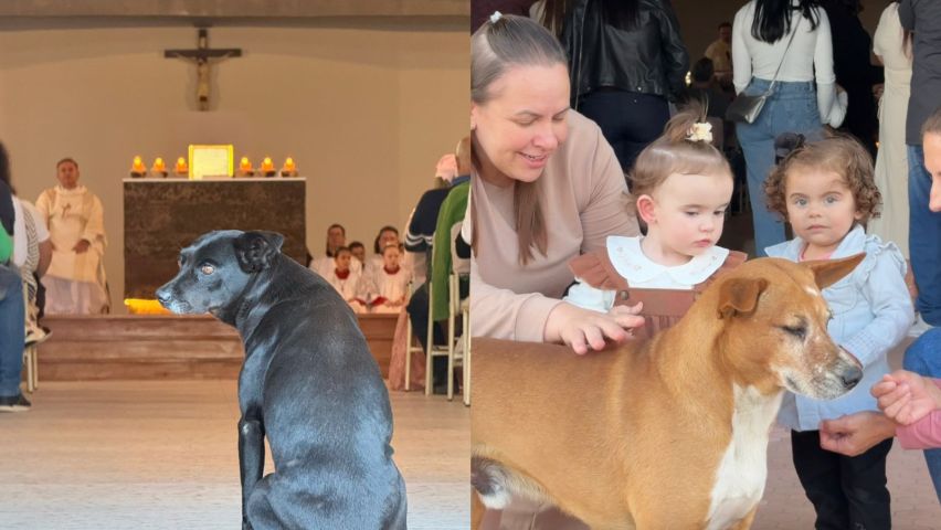 (VÍDEO) Pretinha e Caramelo prestigiam primeira missa do futuro Santuário de Santa Teresinha