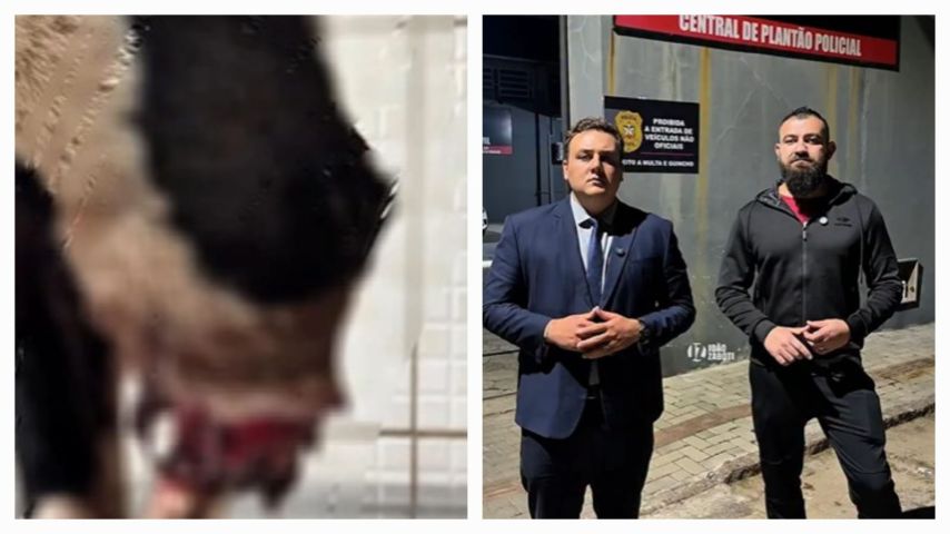 Cachorro perde parte do membro dianteiro em situação de maus-tratos em Tubarão