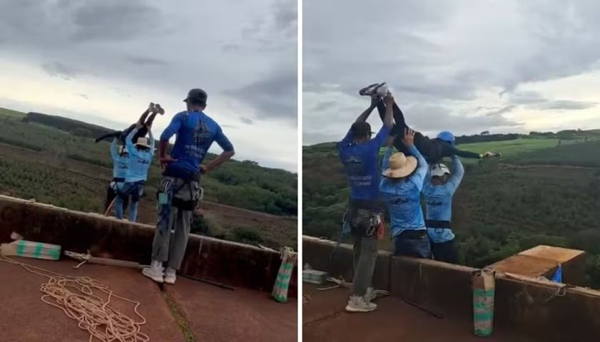 VÍDEO: Mulher morre após ser jogada sem cordas durante salto de rope jump