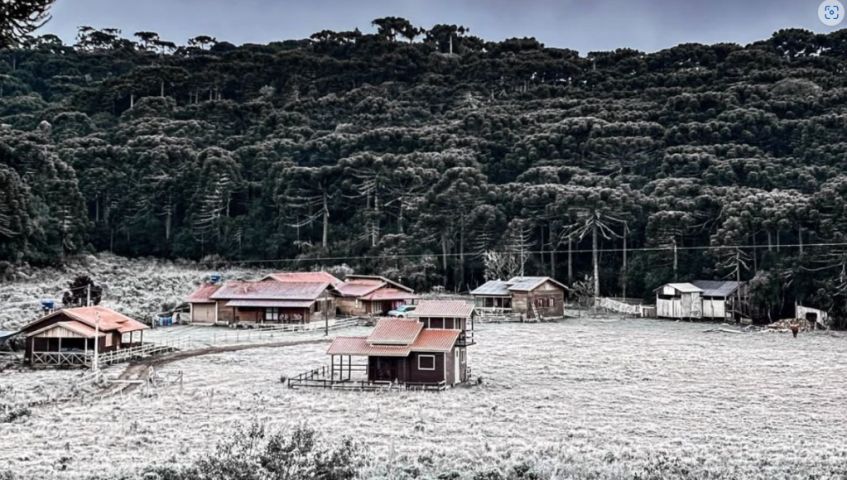 Onda de frio coloca 333 municípios em alerta para geadas no ‘dia mais frio do ano’; saiba onde
