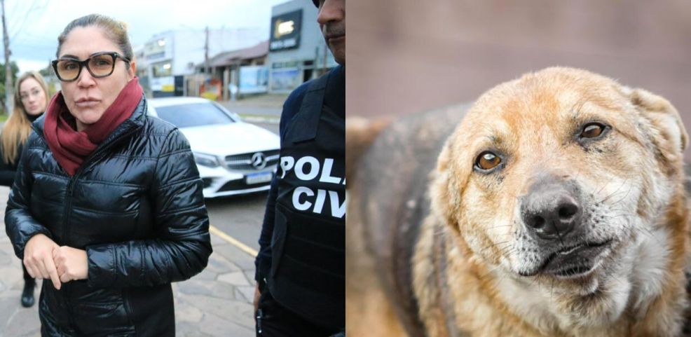 'Serial killer de animais', diz delegada sobre ex-secretária presa suspeita de eutanásia irregular em 498 animais no RS