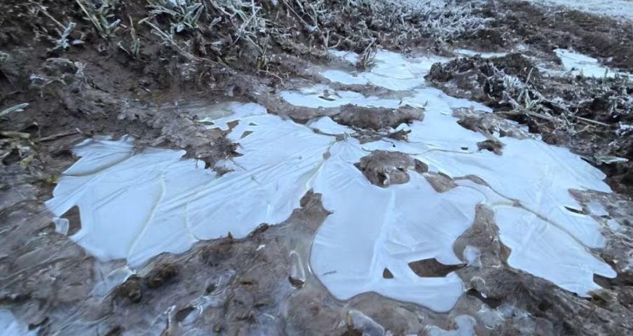Com mínima de -7,3°C, SC registra pelo 2º dia seguido a menor temperatura de 2026