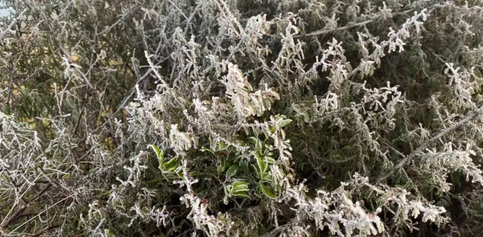 Capital Nacional do Frio, Urupema amanhece com sincelo e temperaturas negativas