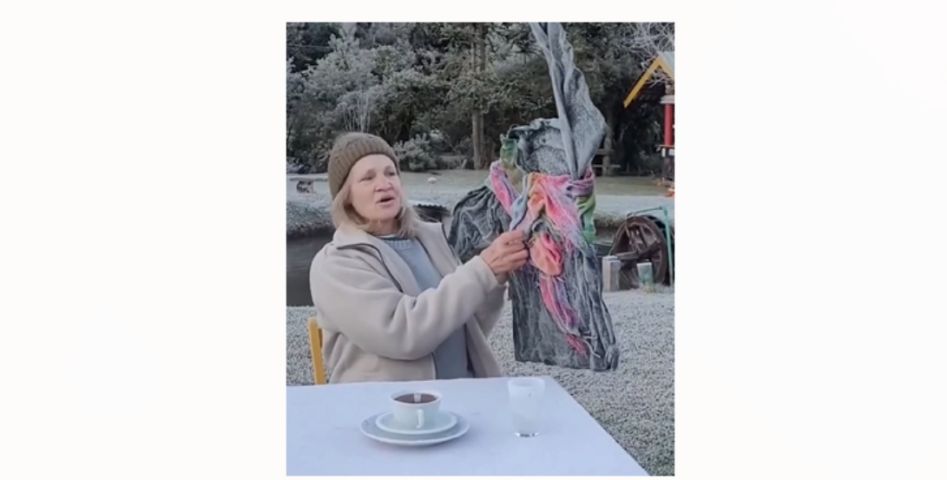 (Vídeo) Moradora de Urupema faz vídeo bem-humorado de 'tudo congelado' e conquista internautas