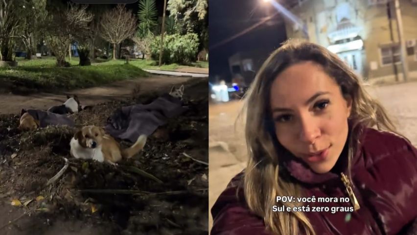 Mulher emociona ao cobrir cães de rua com mantas durante noite de frio intenso; VÍDEO