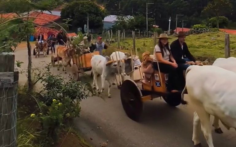 Cortejo de carro de bois abre Festa de São Pedro na comunidade de Sombrio, em Tubarão; VÍDEO
