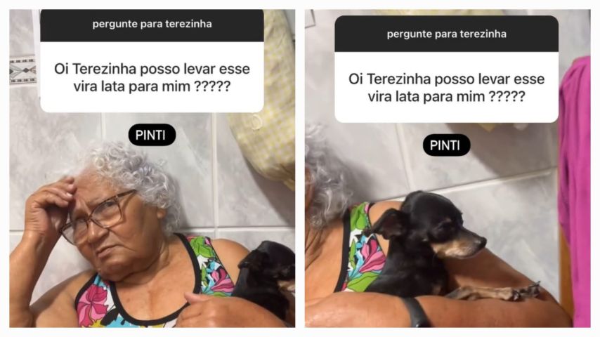 VÍDEO: Mulher viraliza ao defender seu cachorro nas redes sociais após ele ter sido chamado de vira-lata