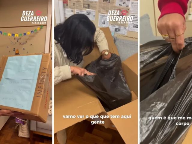 Vereadora recebe caixa com cachorro morto em encomenda enviada ao gabinete