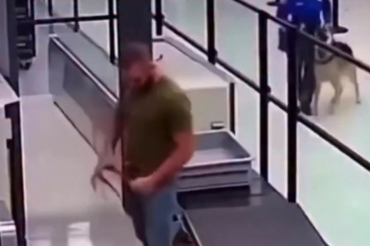(Vídeo) Cão policial reconhece antigo dono em aeroporto após 12 anos