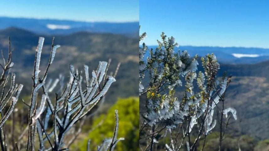 Árvores viram esculturas de gelo em dia com fenômeno incomum na Serra de SC
