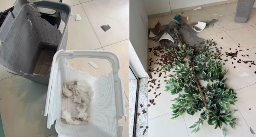 (Vídeo) Cliente depreda lavanderia após roupas saírem com mau cheiro em SC