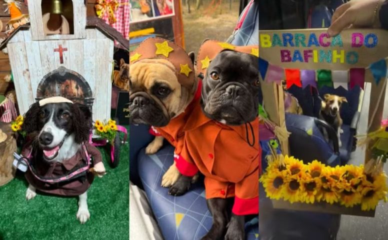 Creche para cães promove arraiá com concurso de fantasias e ônibus escãolar em Içara; VÍDEO