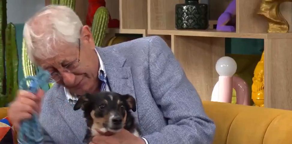 VÍDEO: Idoso de 80 anos se emociona ao pedir que adotem seu cãozinho: “Me perdoe, meu querido”