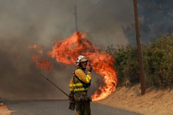 VÍDEO: Incêndios florestais se espalham pela França e pela Espanha; mais de 270 mil pessoas foram evacuadas