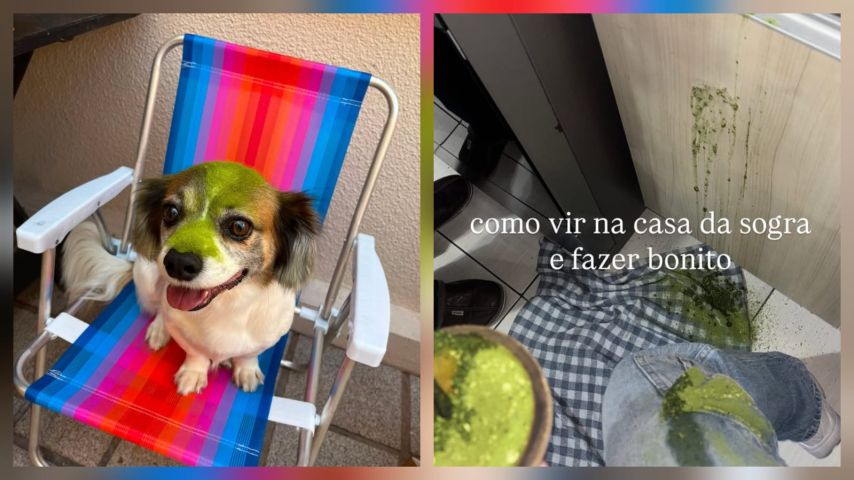Mates derrubados: página viraliza no Instagram ao mostrar “acidentes” com chimarrão