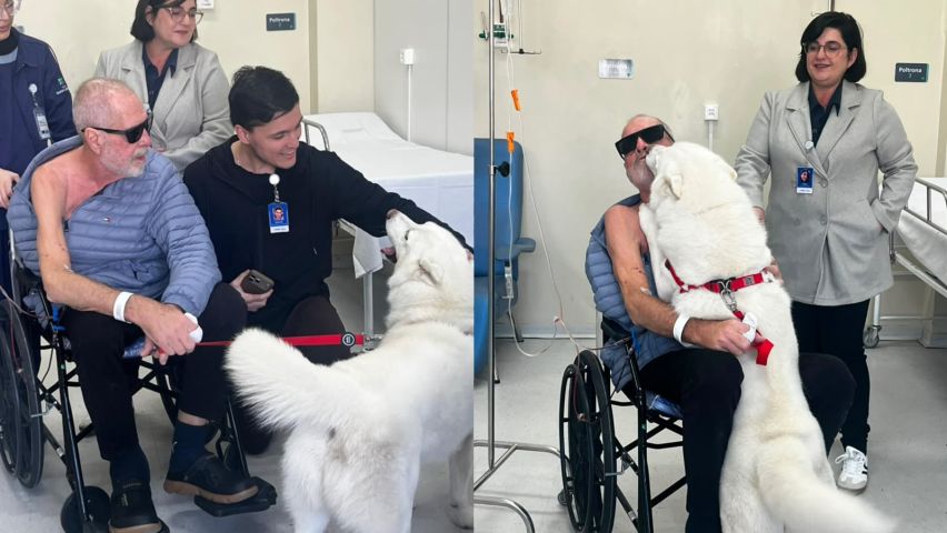 Paciente cego recebe visita de cão de apoio durante internação no HNSC; VÍDEO