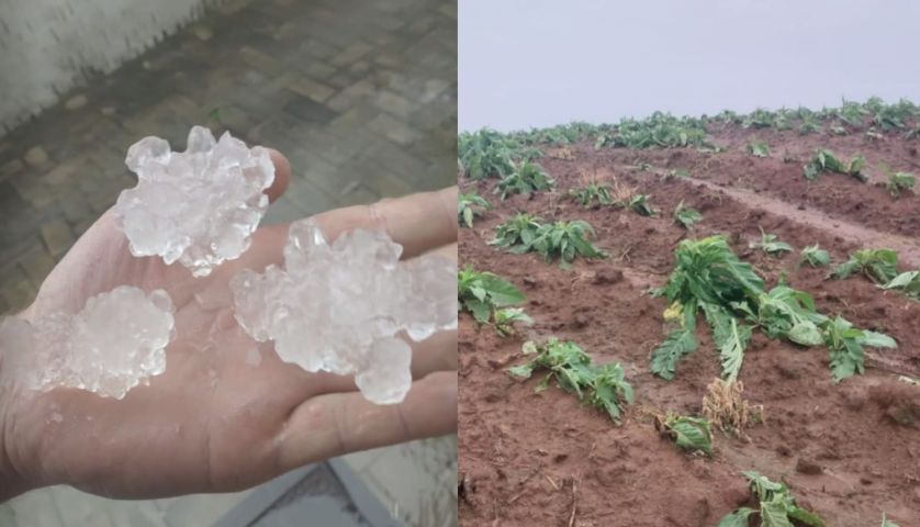 Temporal com granizo destrói área equivalente a 2,9 mil campos de futebol e causa prejuízo de R$ 155 milhões em cidade de SC