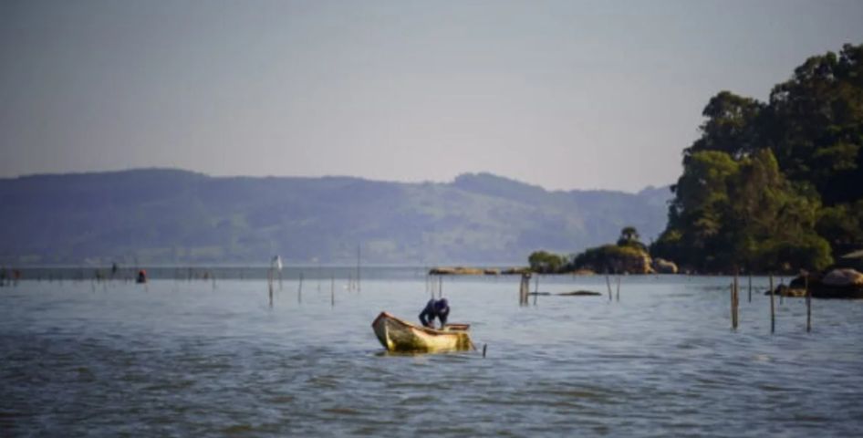 Prazo para nova licença da pesca artesanal do camarão termina com Laguna concentrando quase 70% dos cadastros