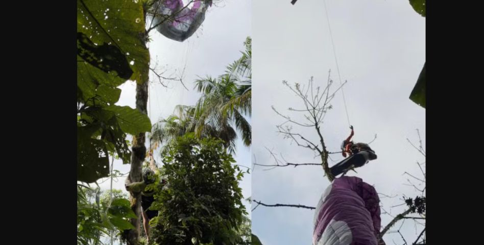 Em SC: Homem é resgatado de helicóptero após cair de parapente e ficar preso no topo de árvore