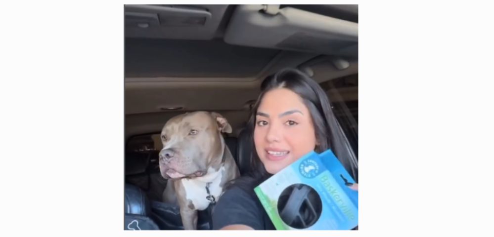 (Vídeo) Viralizou: tutora mostra como pitbull é tratado no shopping com e sem focinheira